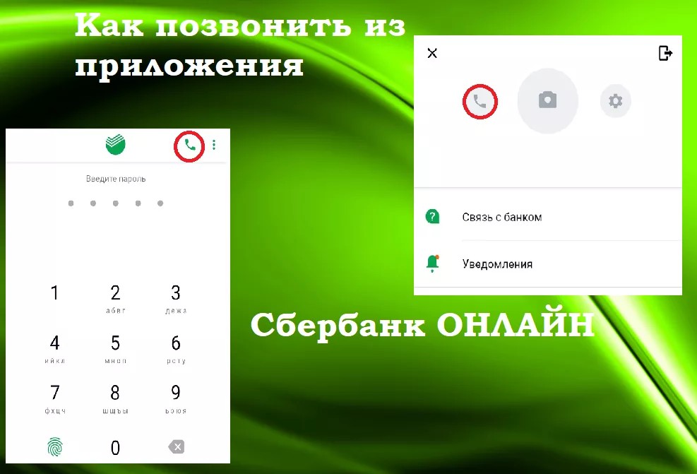 Контакты сбербанка горячая линия. Звонок в Сбербанк через приложение. Как позвонить в Сбербанк через приложение.